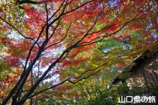 �F�����̍g�t