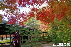 �F�����̍g�t