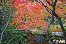 �F�����̍g�t