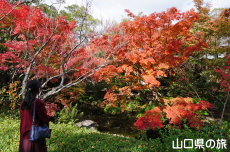 �F�����̍g�t