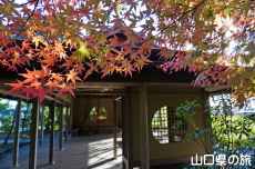 �F�����̍g�t