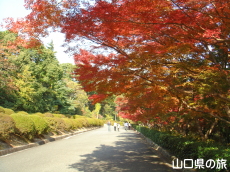 毛利氏庭園の紅葉