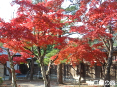 毛利氏庭園の紅葉