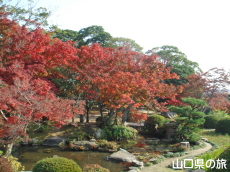 毛利氏庭園の紅葉