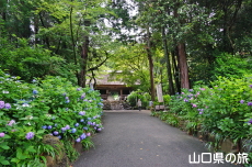 ����Ɏ��̎��z��