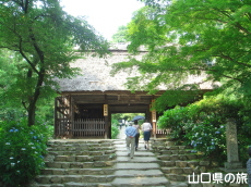 �m����Ǝ��z��