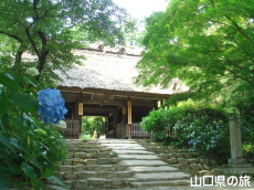 �m����̂�������