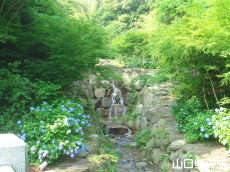 ����Ɏ��̎��z��