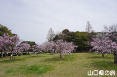 �C��������Ԃ̉��̍g�}����