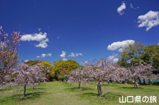 �C��������Ԃ̉��̍g�}����