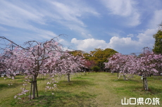 �C��������Ԃ̉��̍g�}����