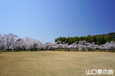 �ї����뉀�̍�