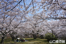 �ї����뉀�̍�