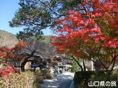 ����Ɏ��̍g�t