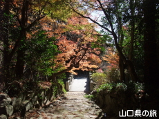 ����Ɏ��̍g�t