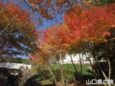 ����Ɏ��̍g�t