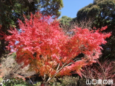 ����Ɏ��̍g�t