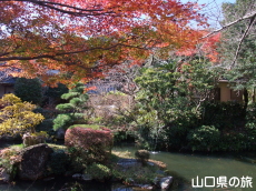 阿弥陀寺の紅葉