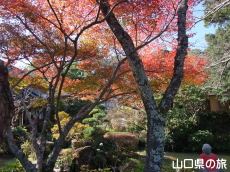 ����Ɏ��̍g�t