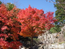 阿弥陀寺の紅葉