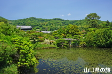 �ї����뉀�̉ԏҊ�