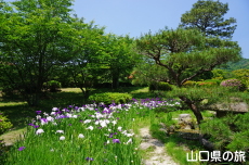 �ї����뉀�̉ԏҊ�