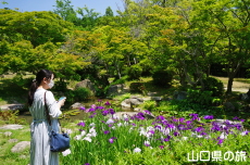 �ї����뉀�̉ԏҊ�