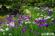 �ї����뉀�̉ԏҊ�