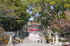 �L�b�g�J�b�g�ԉ�L