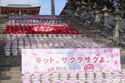 �L�b�g�J�b�g�ԉ�L