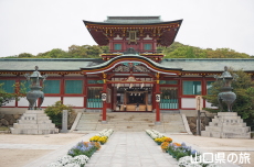 �h�{�V���{