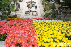 ��Βi�ԉ�L(�s���{�s90���N�L�O)