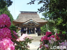 �F�������{�{�a