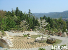 �F�������{�̂��Ⴍ�Ȃ�