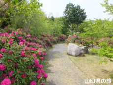 �F�������{�̂��Ⴍ�Ȃ�