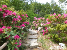 �F�������{�̂��Ⴍ�Ȃ�2014