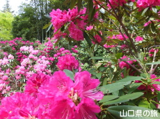 �F�������{�̂��Ⴍ�Ȃ�2014