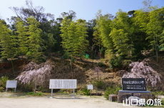 ���c�Ɖ��~��