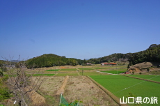 ���c�Ɖ��~��