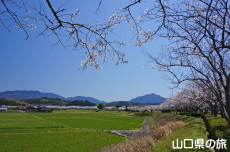 ���Â݌���