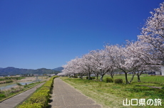 ���Â݌���