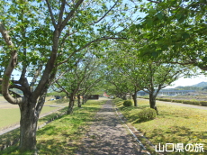 ���Â݌���