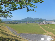 ���Â݌���