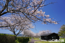 ���Â݌���