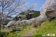 ���_���Ȃ��ݍL��̍�