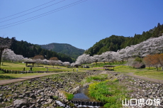 ���_���Ȃ��ݍL��