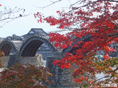錦帯橋の紅葉