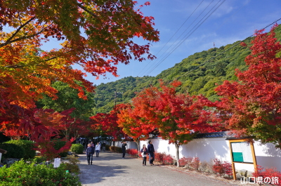 紅葉谷公園の紅葉