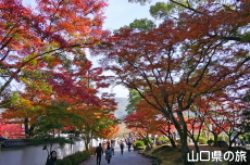 紅葉谷公園