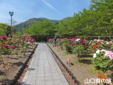 �g�����O��